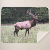 MAJESTUEUZE ELK SHERPA DEKEN (Voorkant (horizontaal))