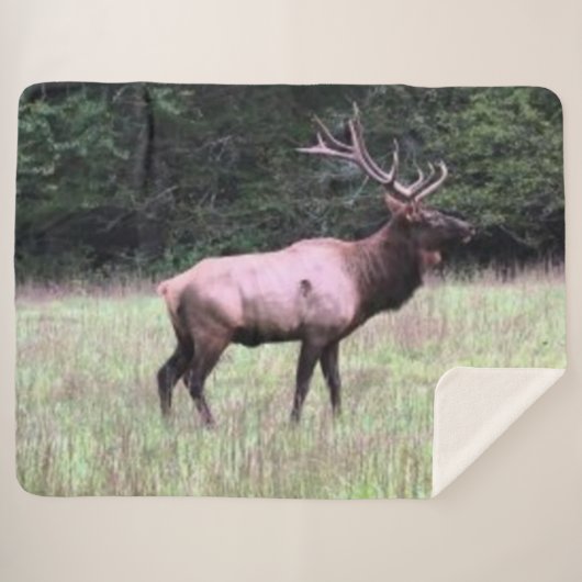 MAJESTUEUZE ELK SHERPA DEKEN (Voorkant (horizontaal))