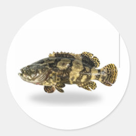 Majestueuze Gevlekte Groepvis - Tropische Koraalri Ronde Sticker