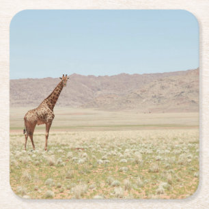 Majestueuze Giraffe in de Afrikaanse savanne Kartonnen Onderzetters
