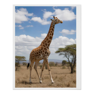 Majestueuze Giraffe Lopend over de Afrikaanse Sava Perfect Poster
