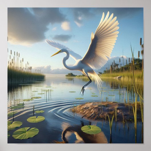 Majestueuze Great Egret in rustige wetlands Poster (Voorkant)