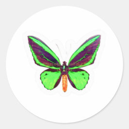 Majestueuze Groene Limoen Vlinder Sticker - Volled