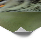 majestueuze grote hoornuil poster (Hoek)