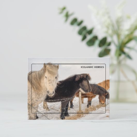 Majestueuze IJslandse paarden Briefkaart (Staand voorkant)