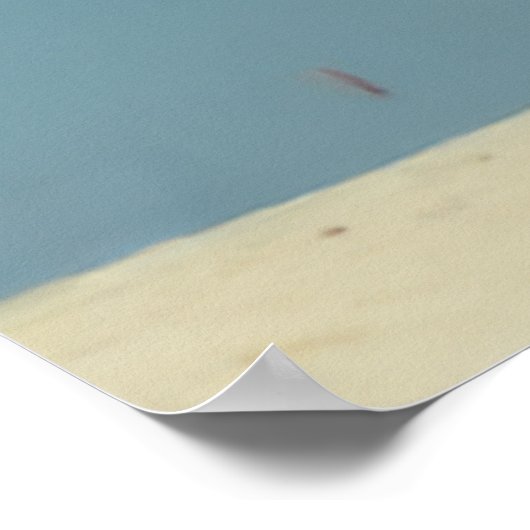 Majestueuze Indian Elder Kite Vliegen op het stran Poster (Hoek)