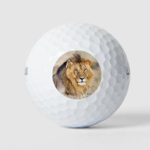 Majestueuze leeuw dier portret foto golfballen
