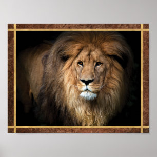 Majestueuze Leeuw Foto Poster