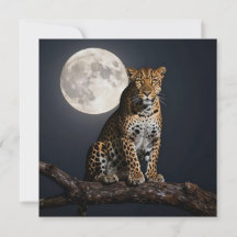 Majestueuze luipaard en volle maan blanco