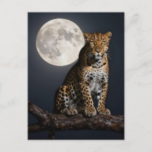 Majestueuze luipaard en volle maan