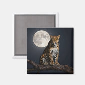Majestueuze luipaard en volle maan magneet (Voorkant / Achterkant)