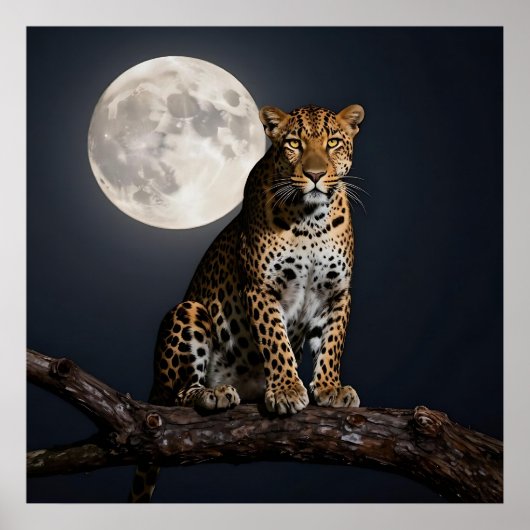 Majestueuze luipaard en volle maan poster (Voorkant)