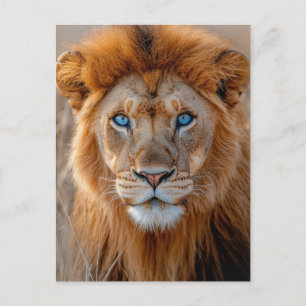 Majestueuze mannelijke leeuw met gloeiende blauwe briefkaart