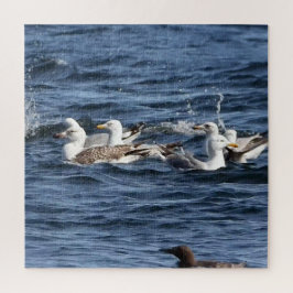 Majestueuze meeuwen die zandalen jagen boven oceaa legpuzzel