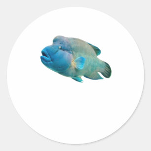Majestueuze Napoleon Lipvis Bali Kunst). Ronde Sticker