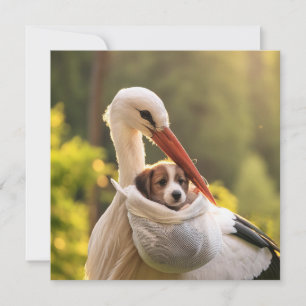Majestueuze Ooievaar Brengt Nieuwe Puppy Golden Ho Feestdagenkaart