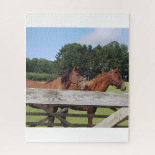 Majestueuze paarden in de natuur legpuzzel