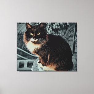 Majestueuze pluizige kat op een voetstuk canvas afdruk