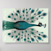 Majestueuze pracht: de Boho Peacock Poster (Voorkant)