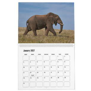 Majestueuze Reuzen Afrikaanse Wilde Dieren Kalende Kalender