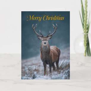 Majestueuze rode hertenbok Foto Kerstkaart Kaart