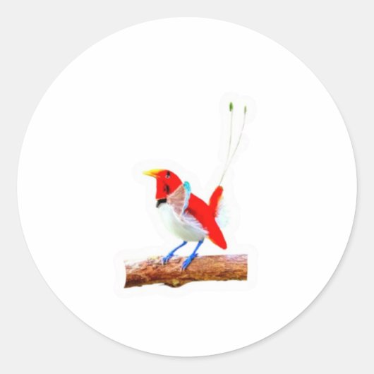 Majestueuze Rode Paradijsvogel Sticker - Indonesis (Voorkant)
