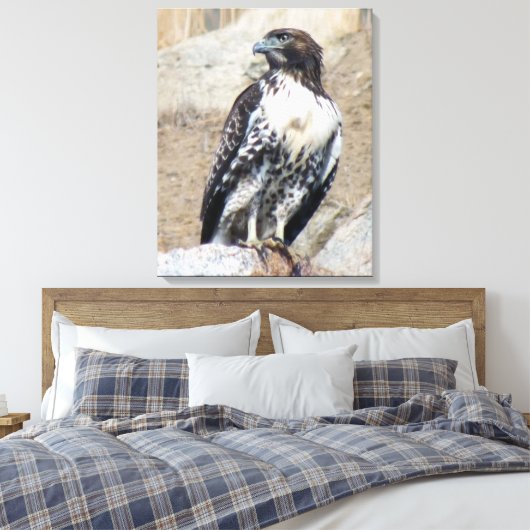Majestueuze roodstaarthavik gewikkeld canvas (Insitu (Slaapkamer))