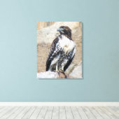 Majestueuze roodstaarthavik gewikkeld canvas afdruk (Insitu (Houten vloer))