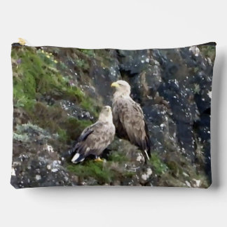 Majestueuze Roofvogel Witstaartzeearend Paar Etui