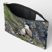 Majestueuze Roofvogel Witstaartzeearend Paar Etui (Open)