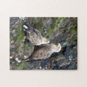 Majestueuze Roofvogel Witstaartzeearend Paar Legpuzzel (Horizontaal)