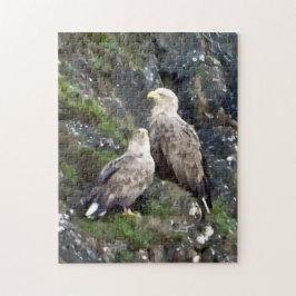 Majestueuze Roofvogel Witstaartzeearend Paar Legpuzzel