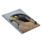 Majestueuze slechtvalk notitieboek (Rechterzijde)