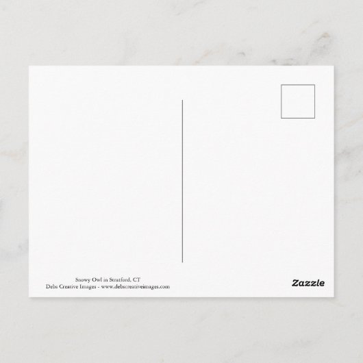 Majestueuze Sneeuwuil van de Connecticut-kust Briefkaart (Achterkant)