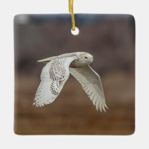 Majestueuze Sneeuwuil van de Connecticut-kust Keramisch Ornament