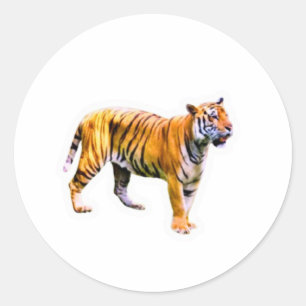 Majestueuze Sumatraanse Tijger - Bedreigde Natuuro Ronde Sticker
