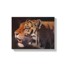 Majestueuze tijger klein