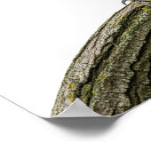 majestueuze uil met hoorns poster (Hoek)