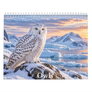 Majestueuze Uilen Schitterende Natuurkalender Kalender