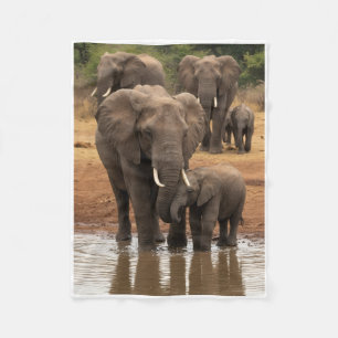 Majestueuze Wilde Olifanten Met Jongen Bij Rivier  Fleece Deken