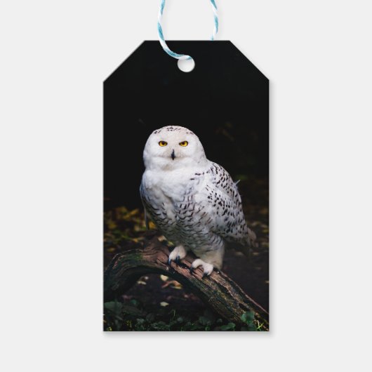 Majestueuze winter sneeuwuil cadeaulabel (Voorkant)