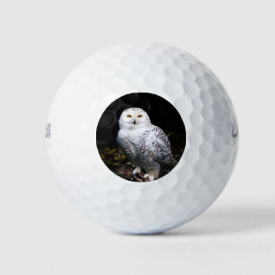 Majestueuze winter sneeuwuil golfballen