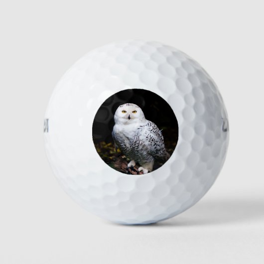 Majestueuze winter sneeuwuil golfballen (Voorkant)