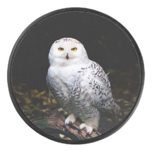 Majestueuze winter sneeuwuil hockey puck