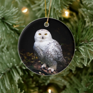 Majestueuze winter sneeuwuil keramisch ornament