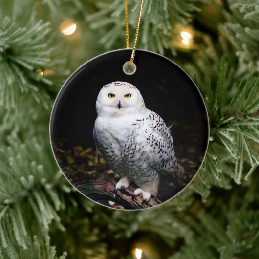 Majestueuze winter sneeuwuil keramisch ornament (Boom)