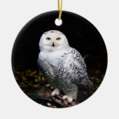 Majestueuze winter sneeuwuil keramisch ornament (Voorkant)