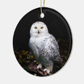 Majestueuze winter sneeuwuil keramisch ornament (Links)