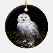 Majestueuze winter sneeuwuil keramisch ornament (Achterkant)