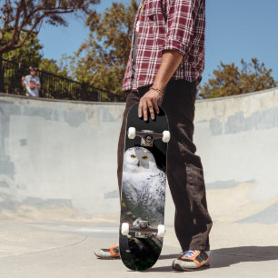 Majestueuze winter sneeuwuil persoonlijk skateboard